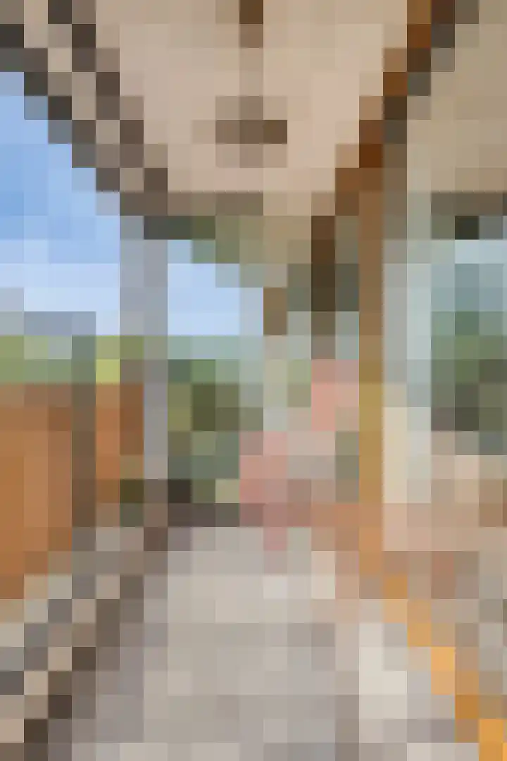 Dr Cuyperslaan 44 38 Eindhoven thumbnail 17