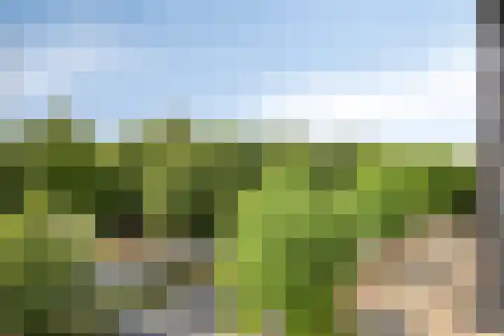 Dr Cuyperslaan 44 38 Eindhoven thumbnail 18