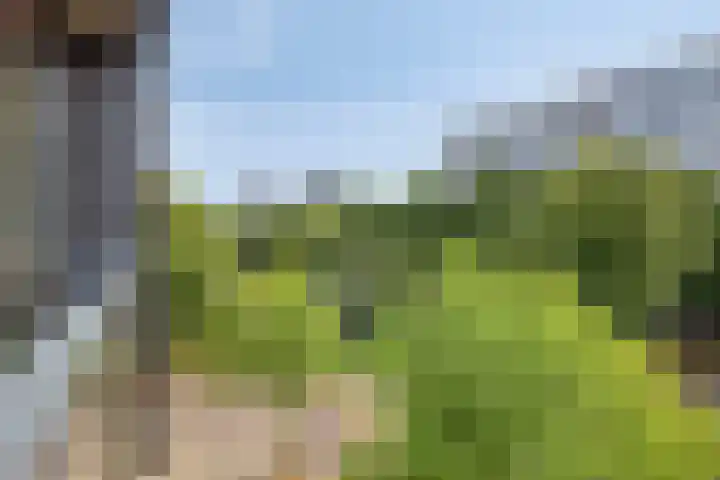 Dr Cuyperslaan 44 38 Eindhoven thumbnail 19