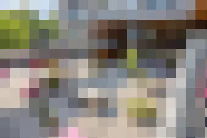 Dr Cuyperslaan 44 38 Eindhoven thumbnail 30