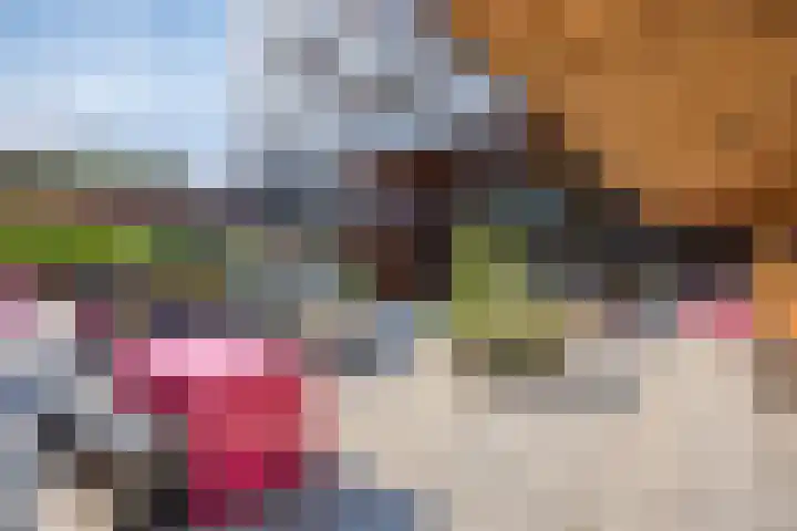 Dr Cuyperslaan 44 38 Eindhoven thumbnail 31
