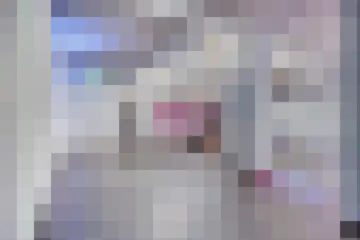 Dr Cuyperslaan 44 38 Eindhoven thumbnail 35