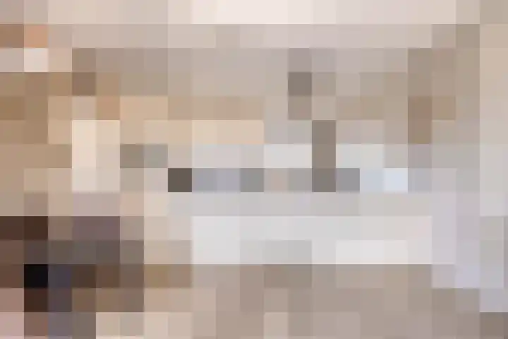 Dr Cuyperslaan 44 38 Eindhoven thumbnail 8