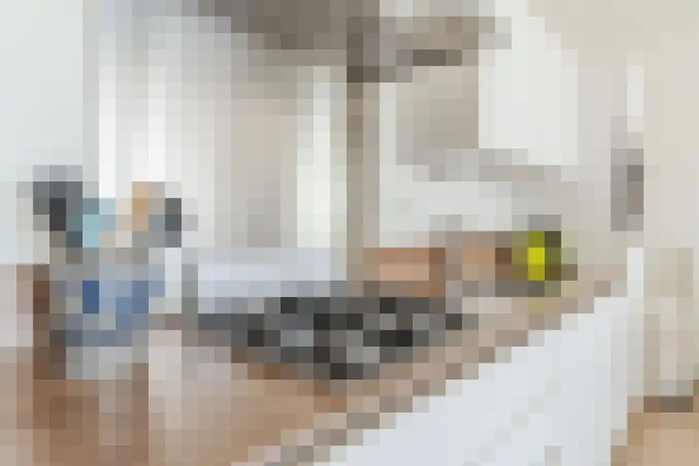 Dr Cuyperslaan 48 08 Eindhoven thumbnail 13