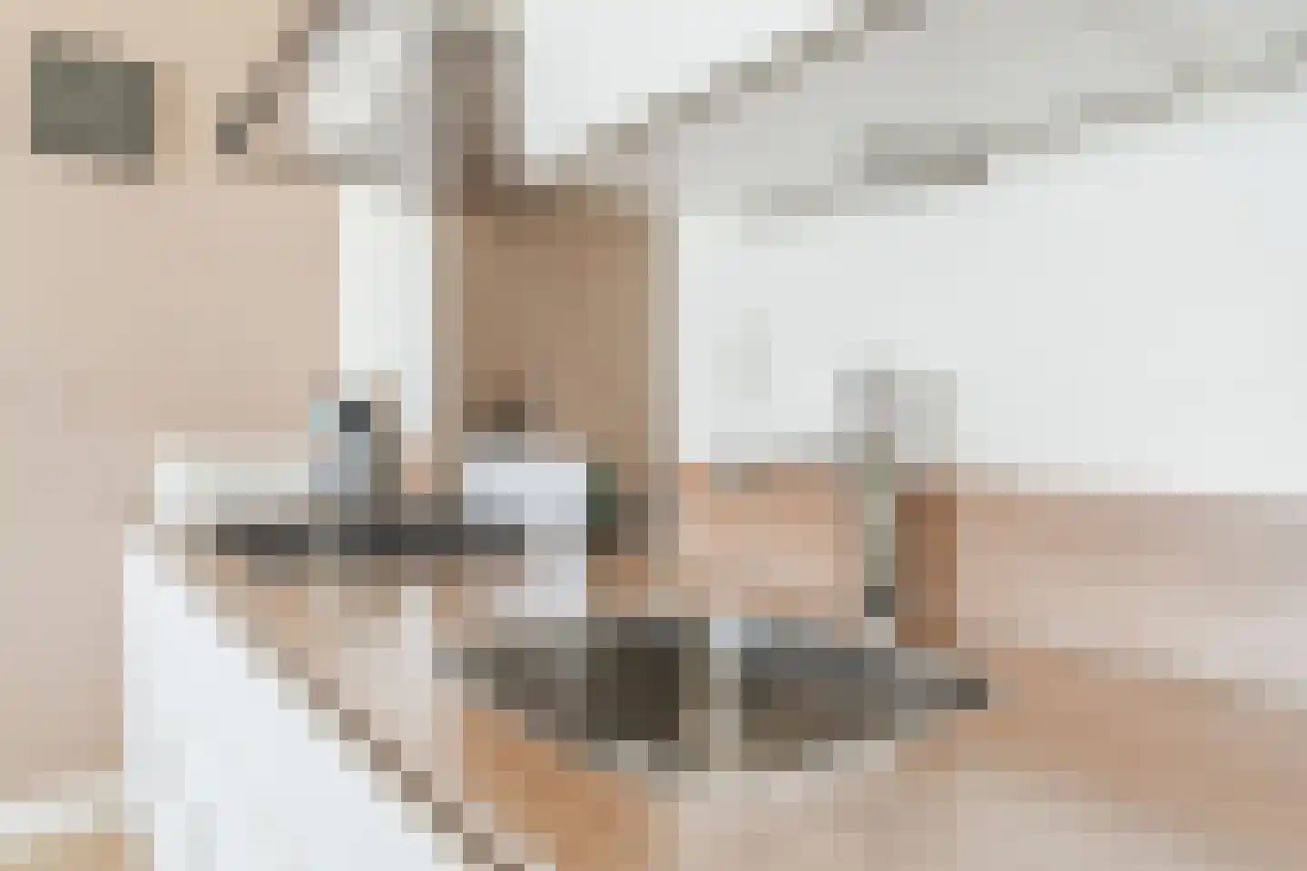 Dr Cuyperslaan 48 08 Eindhoven thumbnail 14