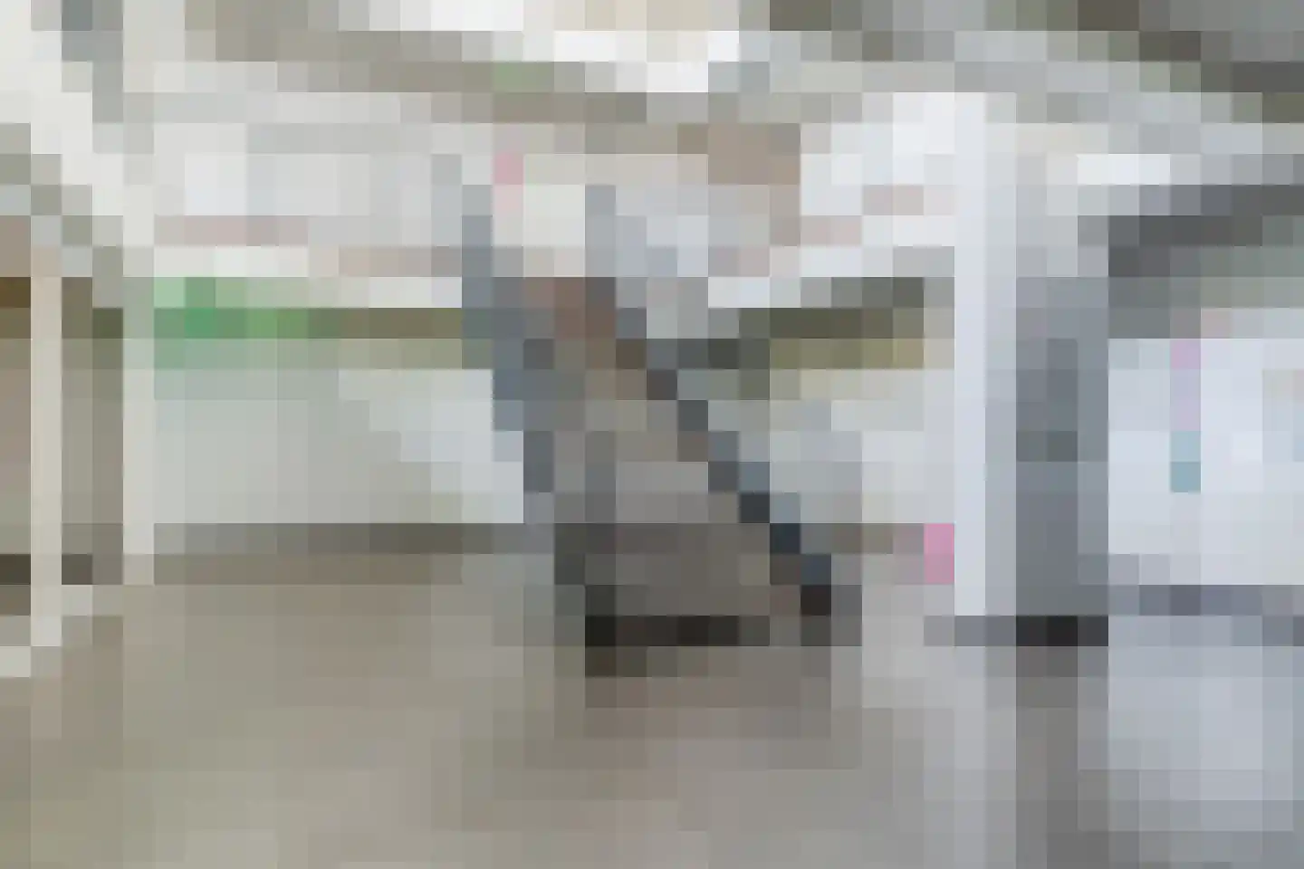 Dr Cuyperslaan 48 08 Eindhoven thumbnail 24