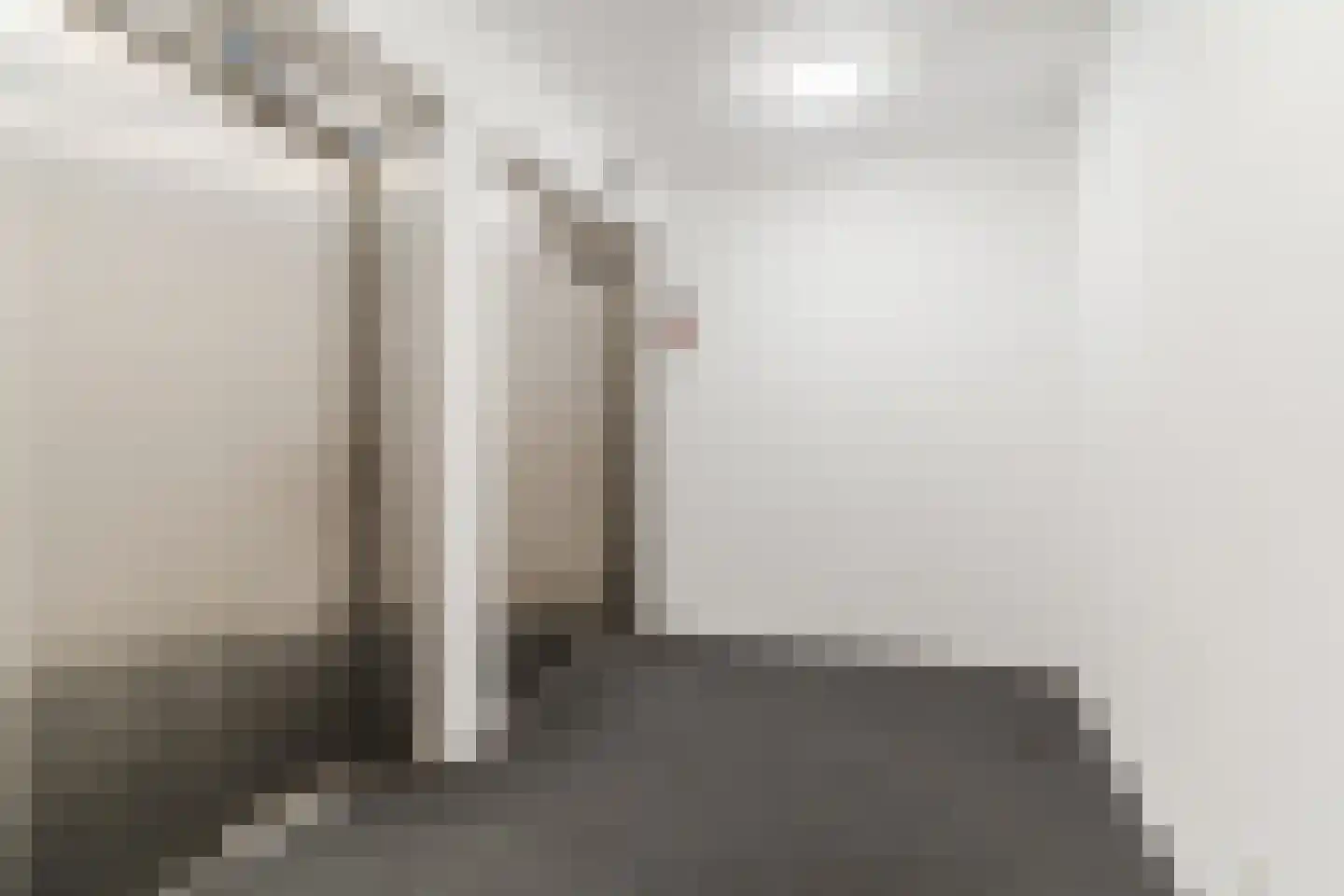 Dr Cuyperslaan 48 08 Eindhoven thumbnail 25