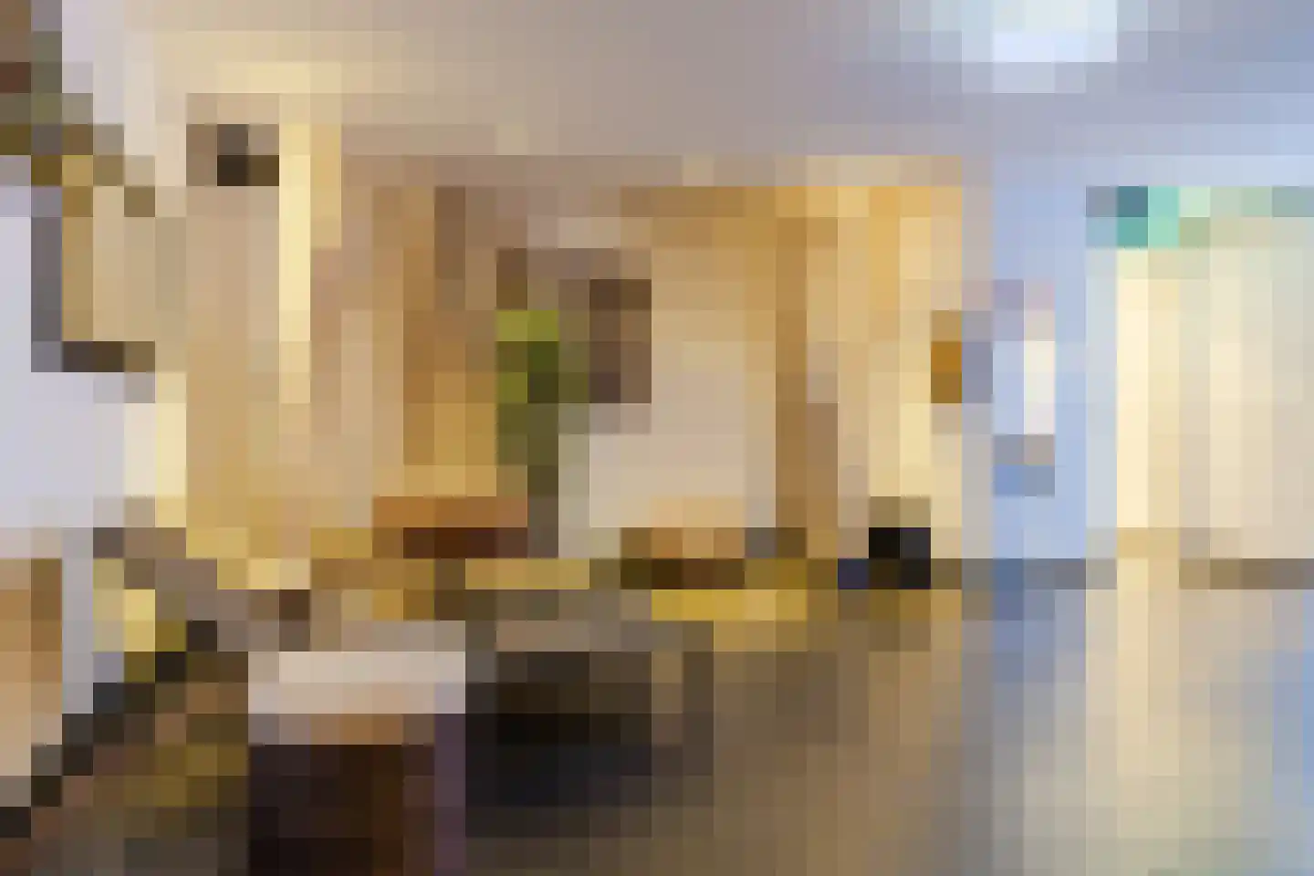 Dr Cuyperslaan 48 08 Eindhoven thumbnail 29