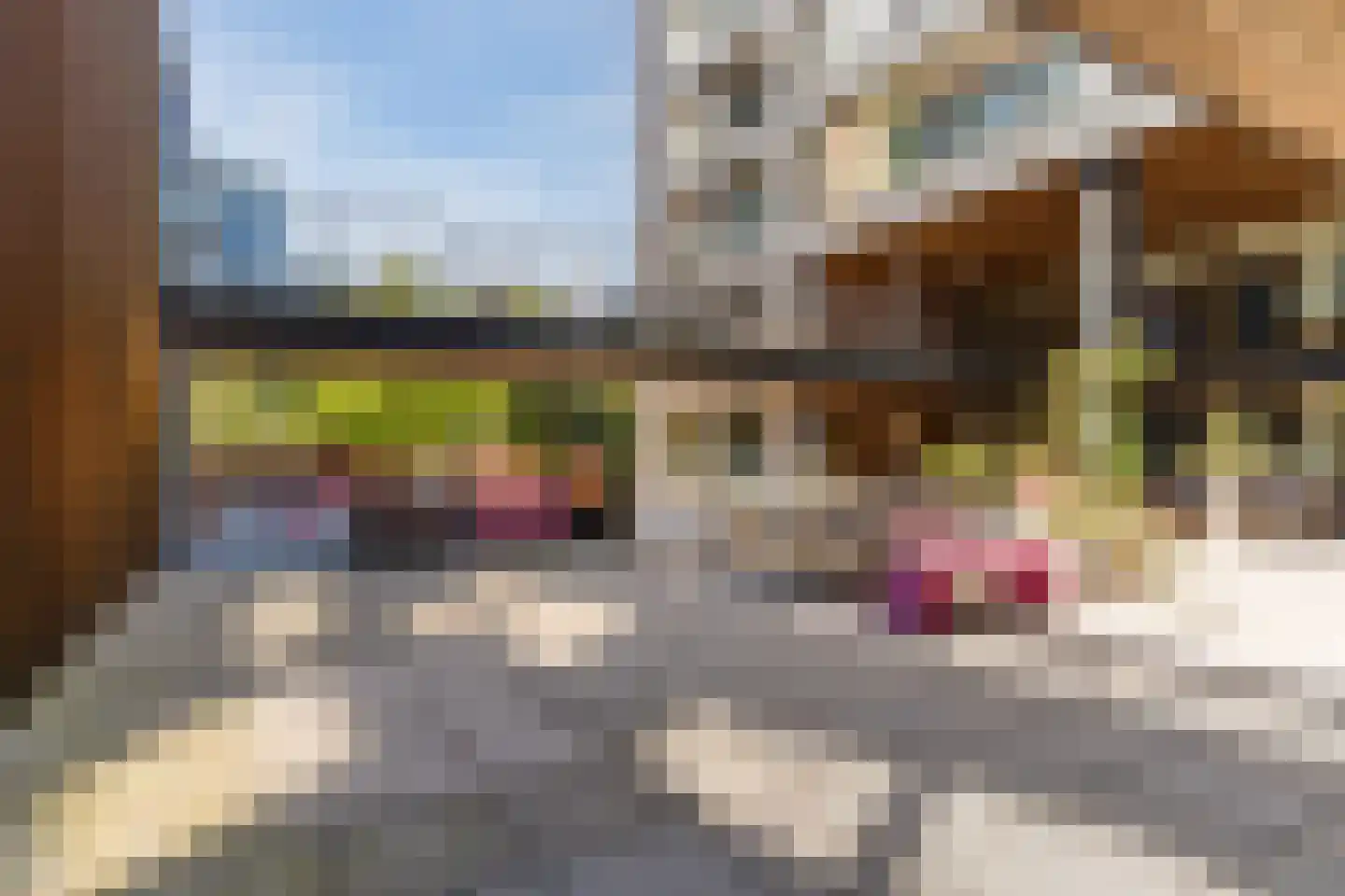 Dr Cuyperslaan 48 08 Eindhoven thumbnail 35