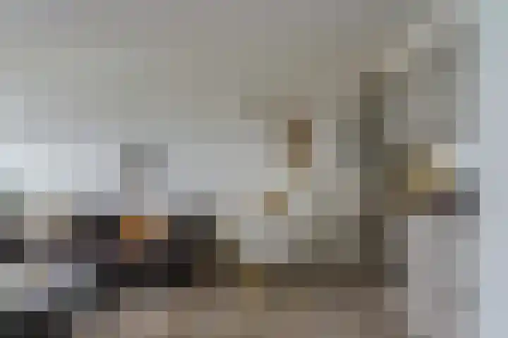 Dr Cuyperslaan 48 12 Eindhoven thumbnail 18