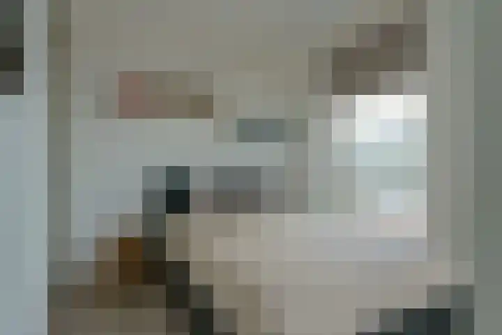 Dr Cuyperslaan 48 12 Eindhoven thumbnail 26