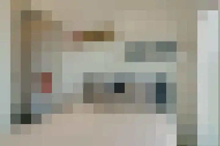 Dr Cuyperslaan 48 12 Eindhoven thumbnail 28