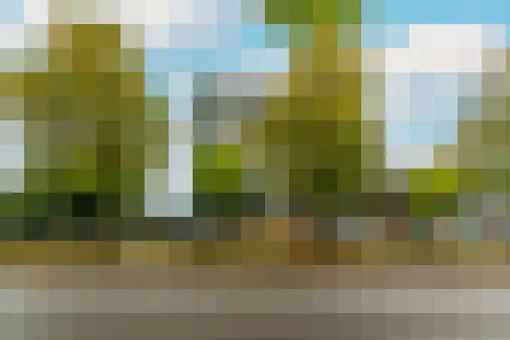 Dr Cuyperslaan 48 12 Eindhoven thumbnail 5