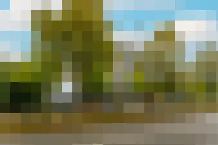 Dr Cuyperslaan 48 12 Eindhoven thumbnail 6