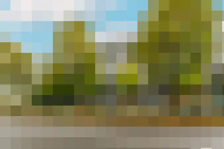 Dr Cuyperslaan 48 12 Eindhoven thumbnail 7