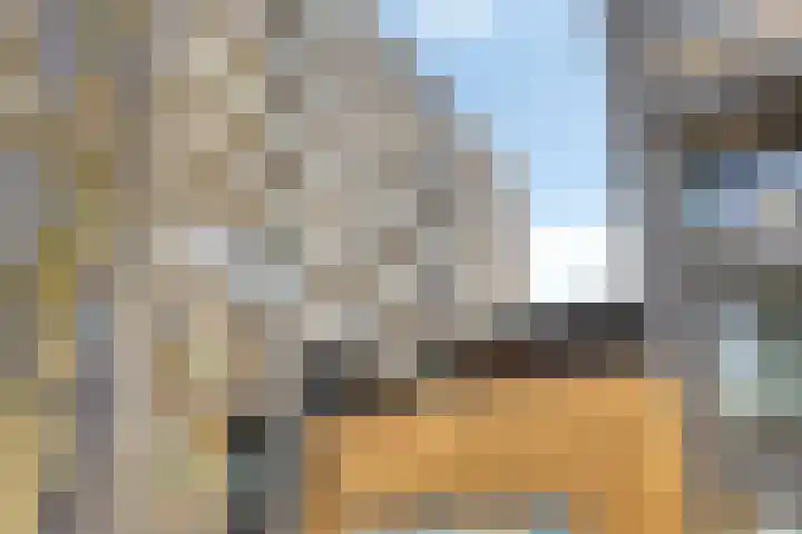 Dr Cuyperslaan 48 18 Eindhoven thumbnail 43