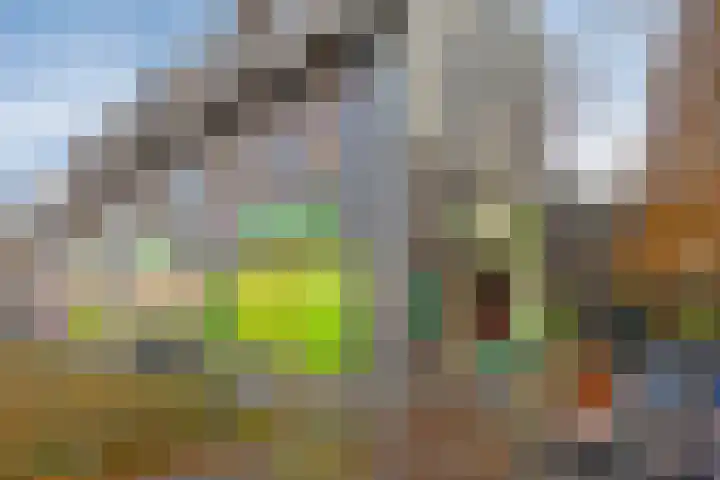 Dr Cuyperslaan 48 18 Eindhoven thumbnail 44