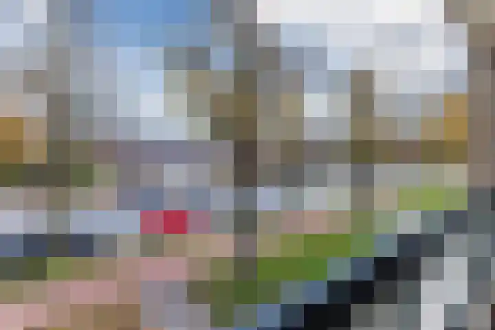 Dr Cuyperslaan 5 Eindhoven thumbnail 17