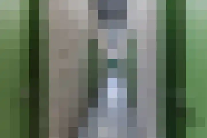 Dr Cuyperslaan 5 Eindhoven thumbnail 24