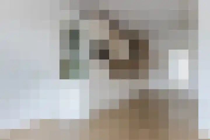 Dr Cuyperslaan 5 Eindhoven thumbnail 5