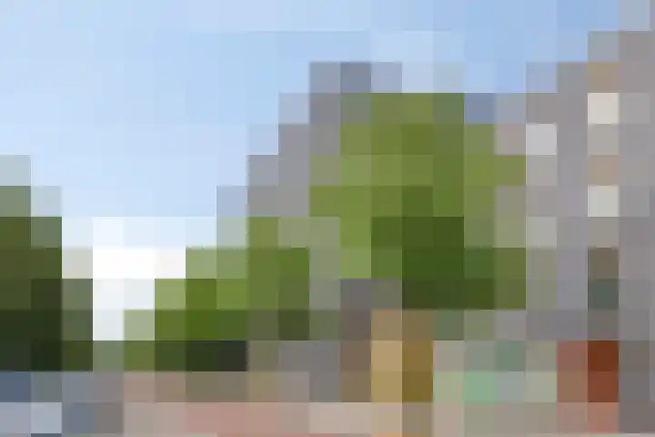 Dr Cuyperslaan 50 18 Eindhoven thumbnail 15