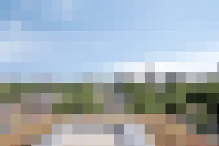 Dr Cuyperslaan 50 18 Eindhoven thumbnail 17