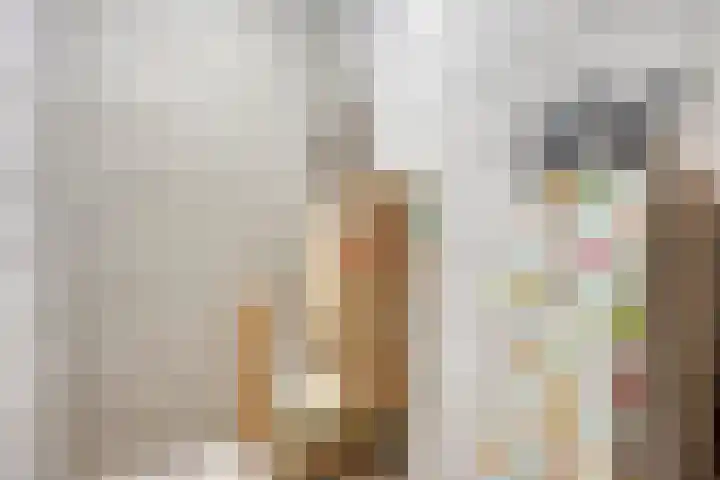 Dr Cuyperslaan 50 18 Eindhoven thumbnail 18
