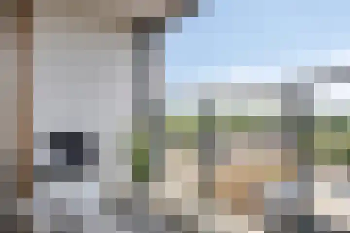 Dr Cuyperslaan 50 18 Eindhoven thumbnail 19