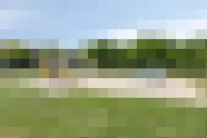 Dr Cuyperslaan 50 18 Eindhoven thumbnail 26