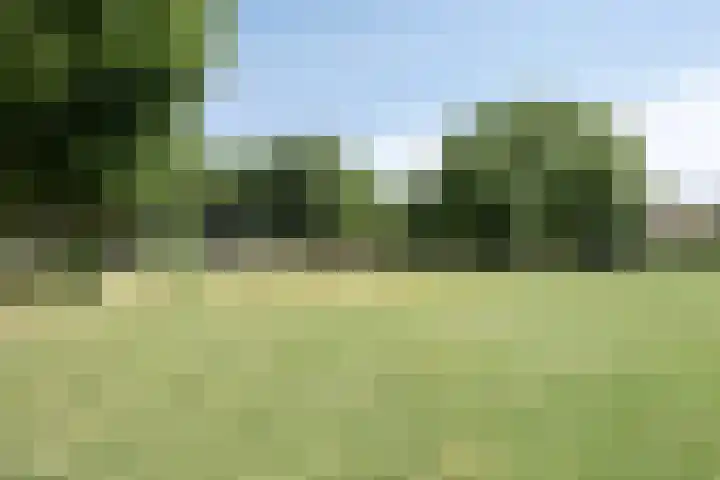 Dr Cuyperslaan 50 18 Eindhoven thumbnail 27