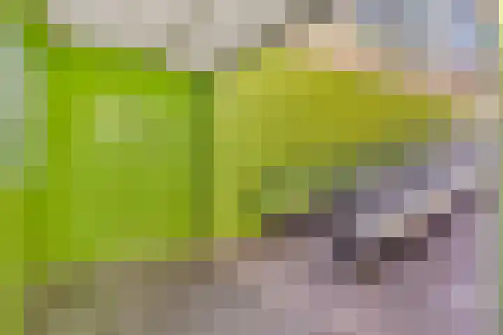 Dr Cuyperslaan 52 02 Eindhoven thumbnail 20