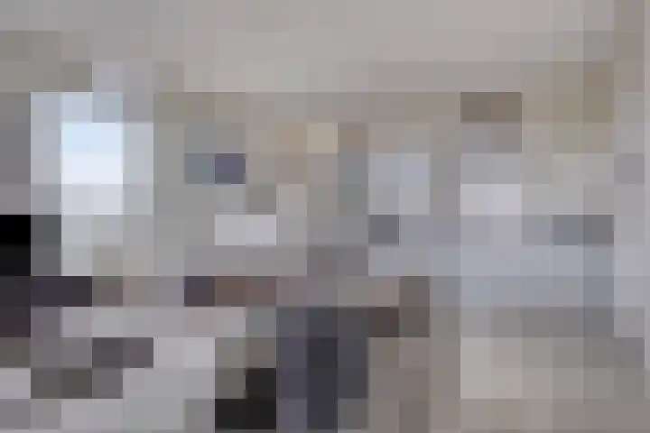 Dr Cuyperslaan 52 02 Eindhoven thumbnail 4