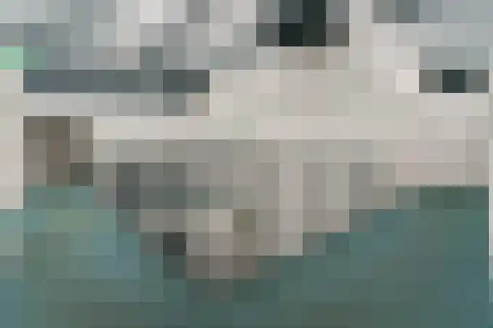 Dr Cuyperslaan 52 18 Eindhoven thumbnail 14