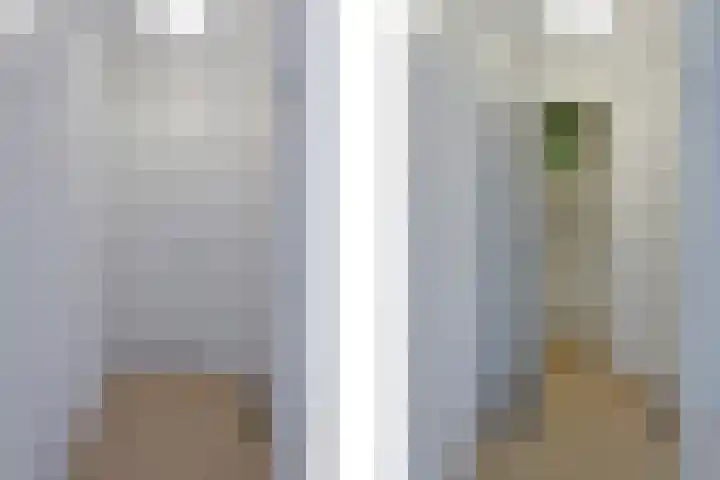 Dr Cuyperslaan 52 18 Eindhoven thumbnail 17