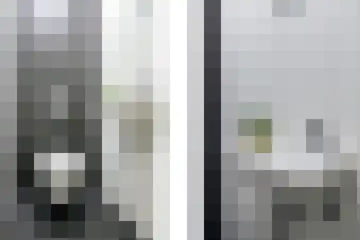 Dr Cuyperslaan 52 18 Eindhoven thumbnail 19
