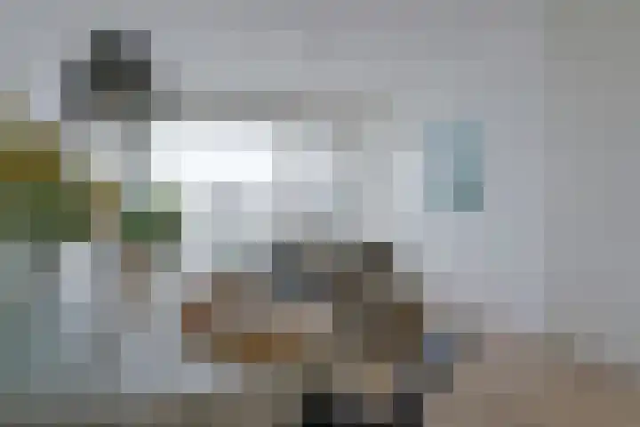 Dr Cuyperslaan 52 18 Eindhoven thumbnail 21
