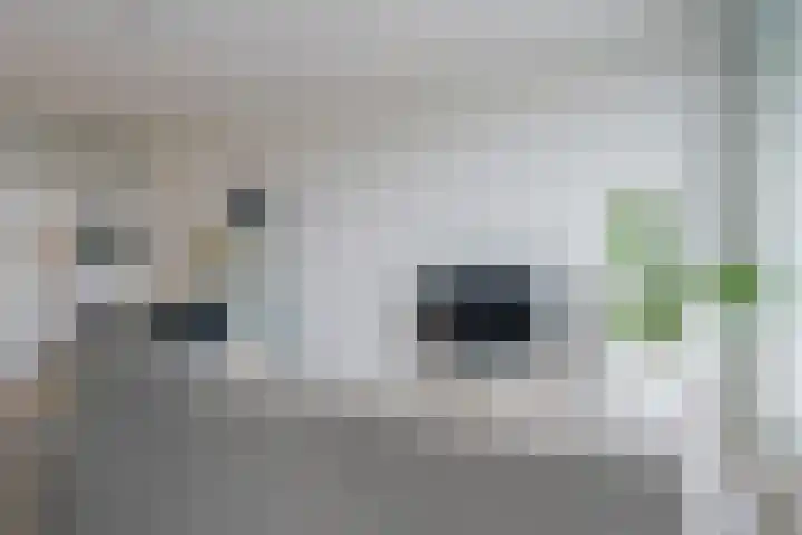 Dr Cuyperslaan 52 18 Eindhoven thumbnail 23