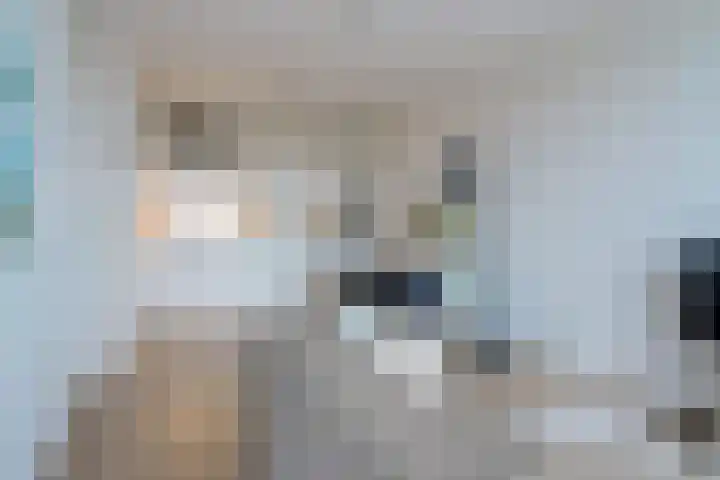 Dr Cuyperslaan 52 18 Eindhoven thumbnail 24