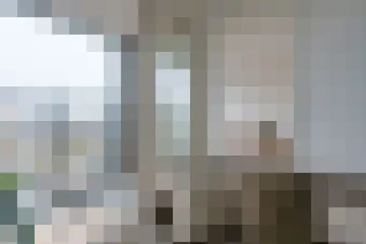 Dr Cuyperslaan 52 18 Eindhoven thumbnail 30