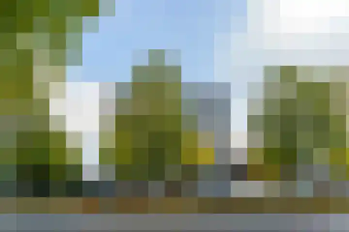 Dr Cuyperslaan 52 18 Eindhoven thumbnail 5