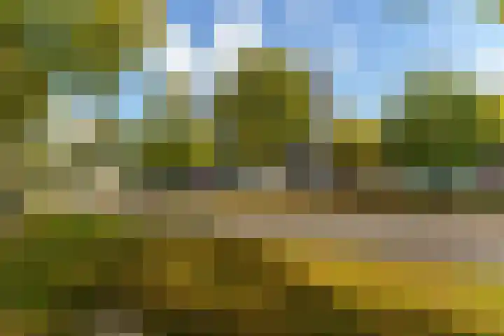 Dr Cuyperslaan 52 18 Eindhoven thumbnail 7