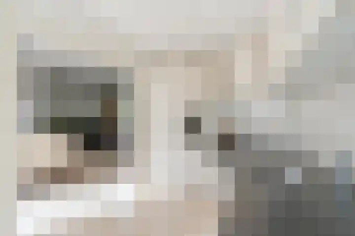 Dr Cuyperslaan 88 Eindhoven thumbnail 13