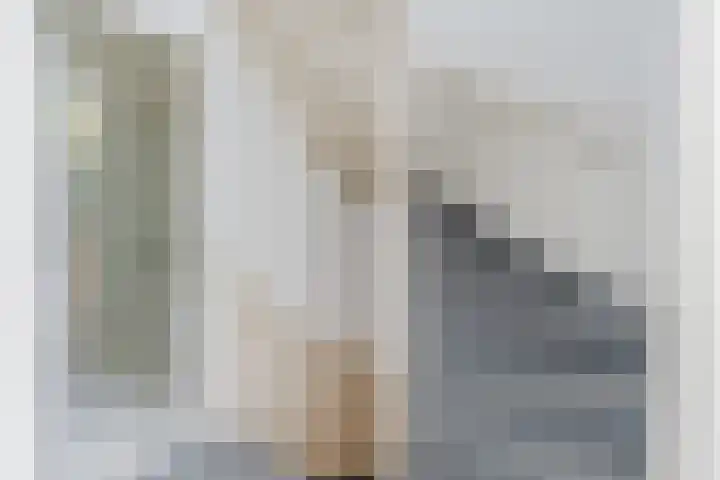 Dr Cuyperslaan 88 Eindhoven thumbnail 24