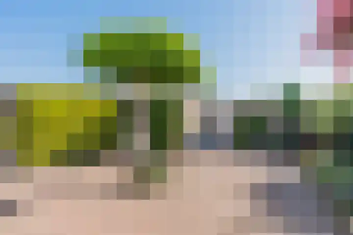 Dr Cuyperslaan 88 Eindhoven thumbnail 28