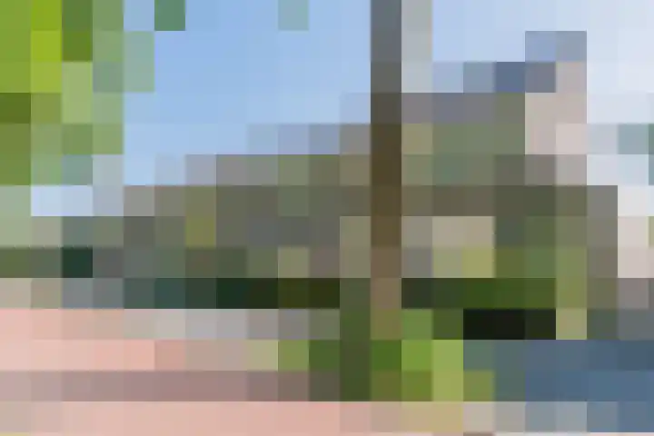 Dr Cuyperslaan 88 Eindhoven thumbnail 32