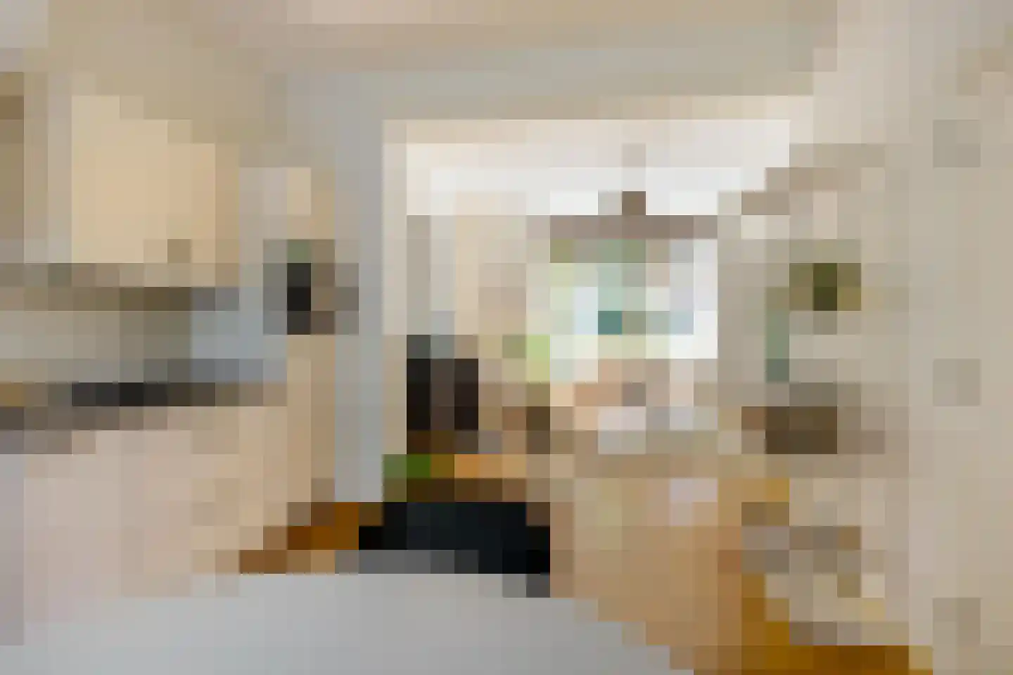 Dr. D. Bosstraat 1 Groningen thumbnail 14