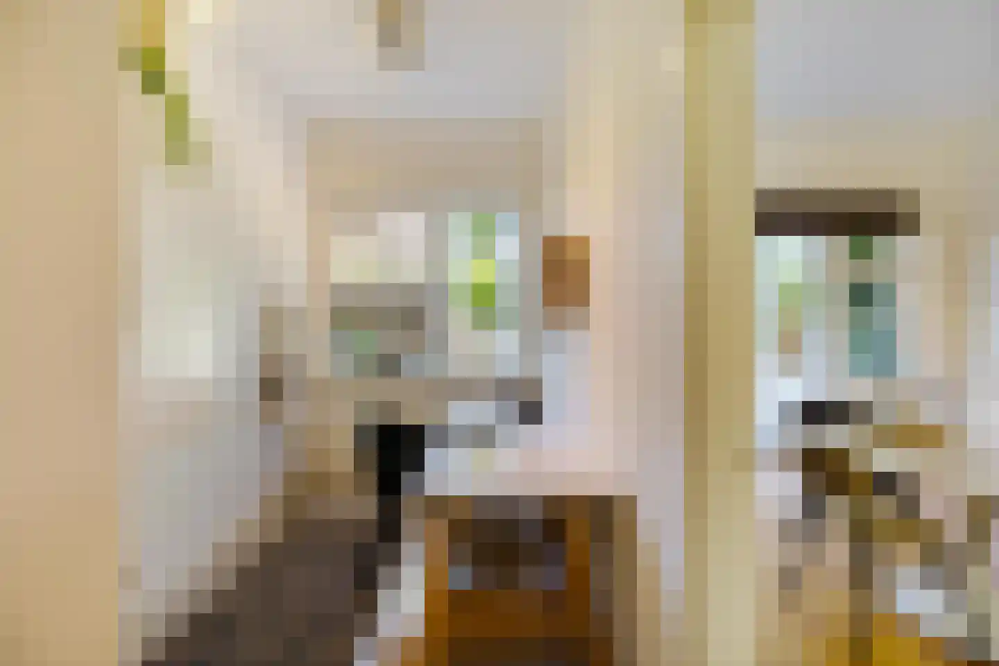 Dr. D. Bosstraat 1 Groningen thumbnail 21