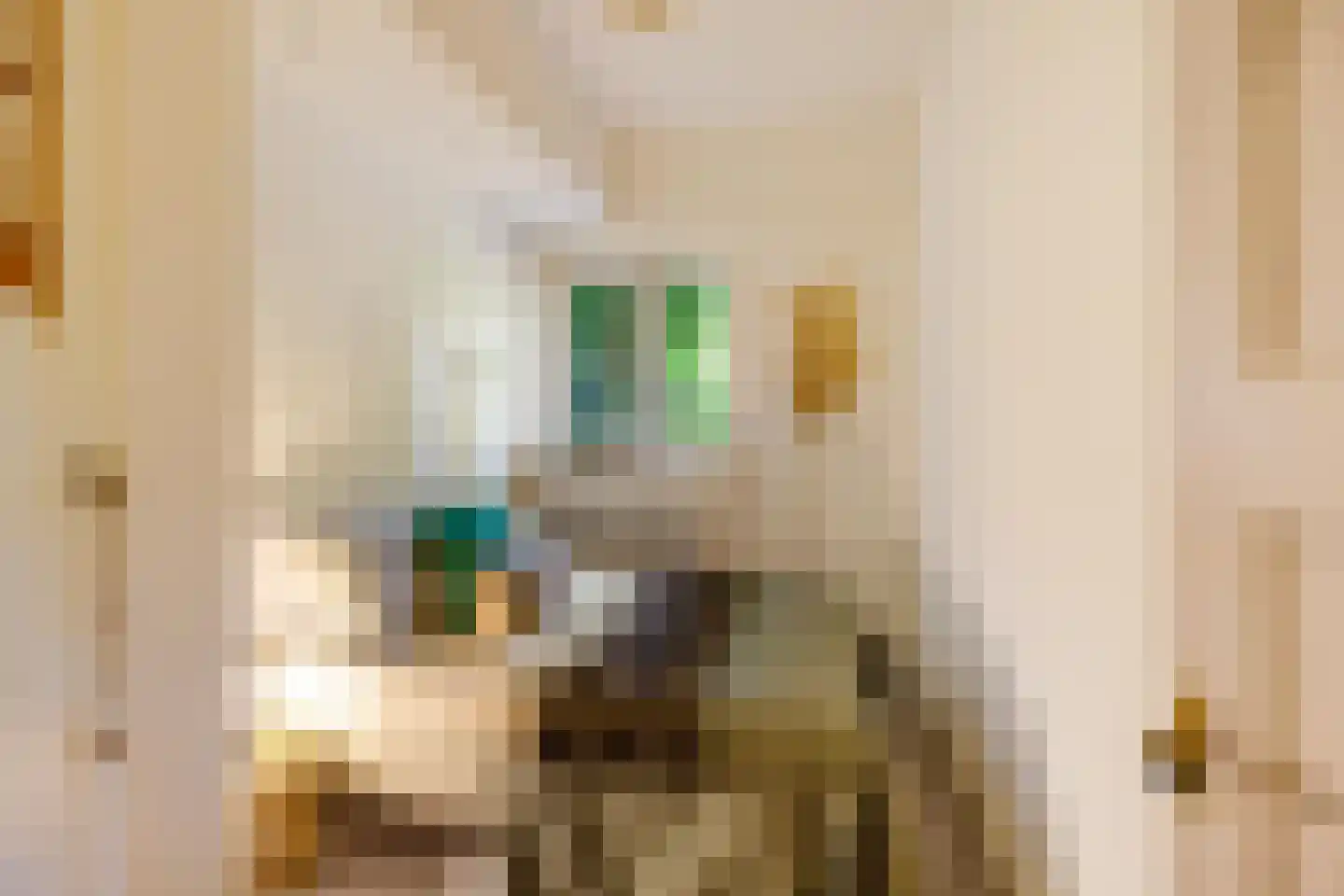 Dr. D. Bosstraat 1 Groningen thumbnail 25