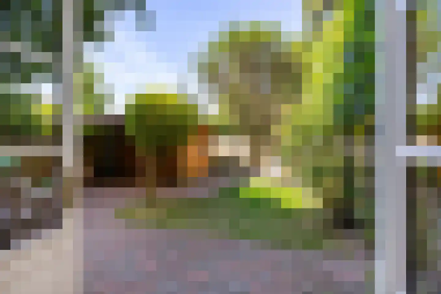 Dr. D. Bosstraat 1 Groningen thumbnail 28