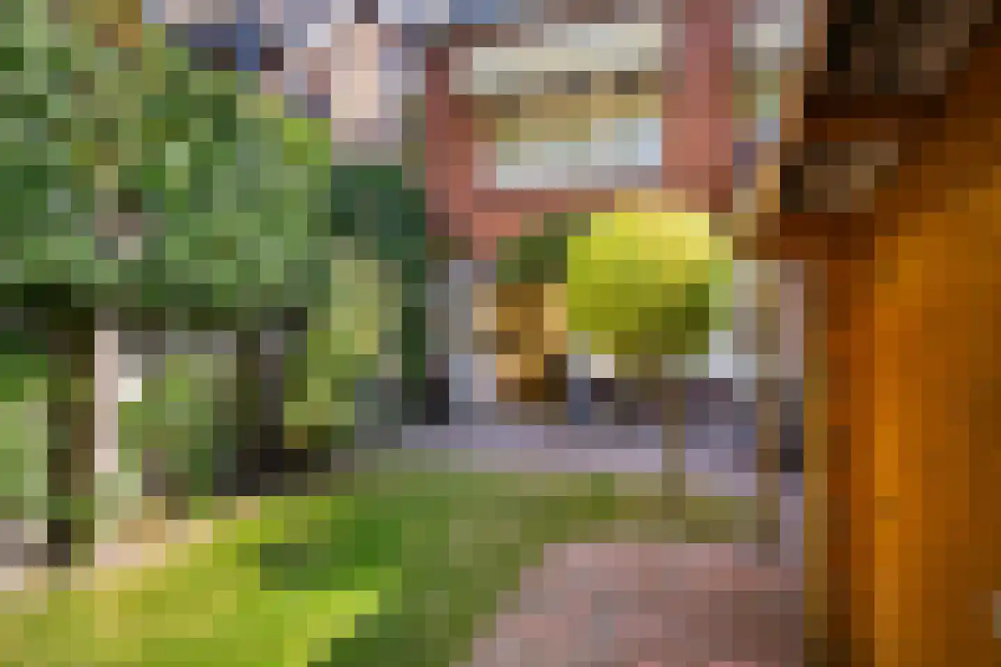 Dr. D. Bosstraat 1 Groningen thumbnail 32